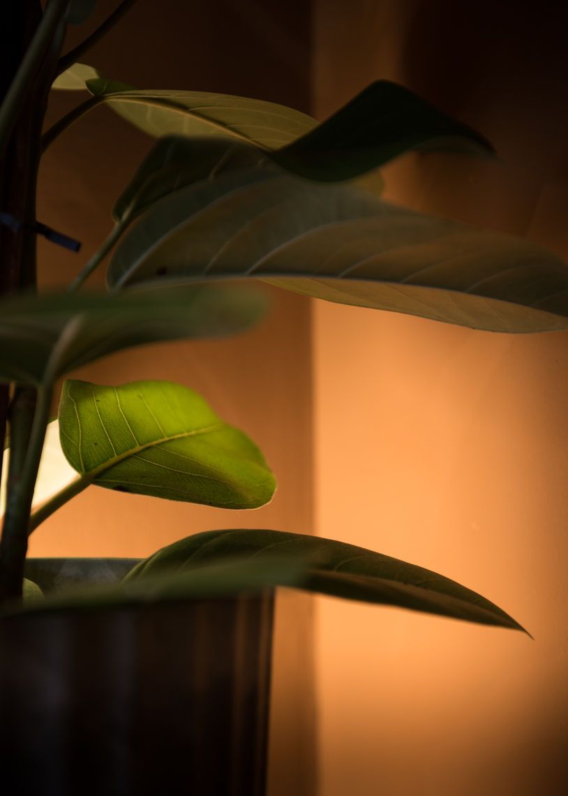 Therapy rooms at Bellenden Road Business Centre, Peckham SE15, Peckham, photo 7