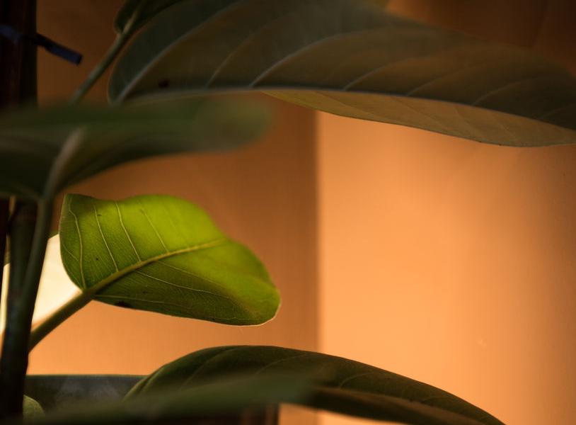 Therapy rooms at Bellenden Road Business Centre, Peckham SE15, Peckham, photo 7