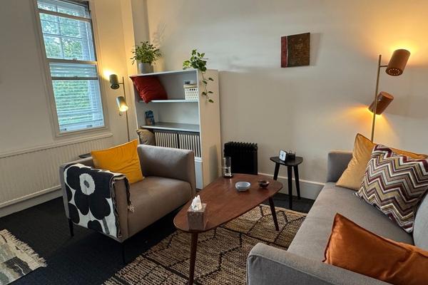 Shared psychotherapy room on Grays Inn Road, King's Cross WC1, King's Cross