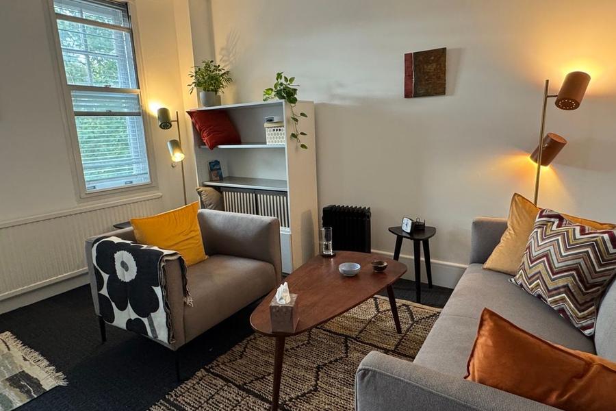Shared psychotherapy room on Grays Inn Road, King's Cross WC1, King's Cross, photo 1