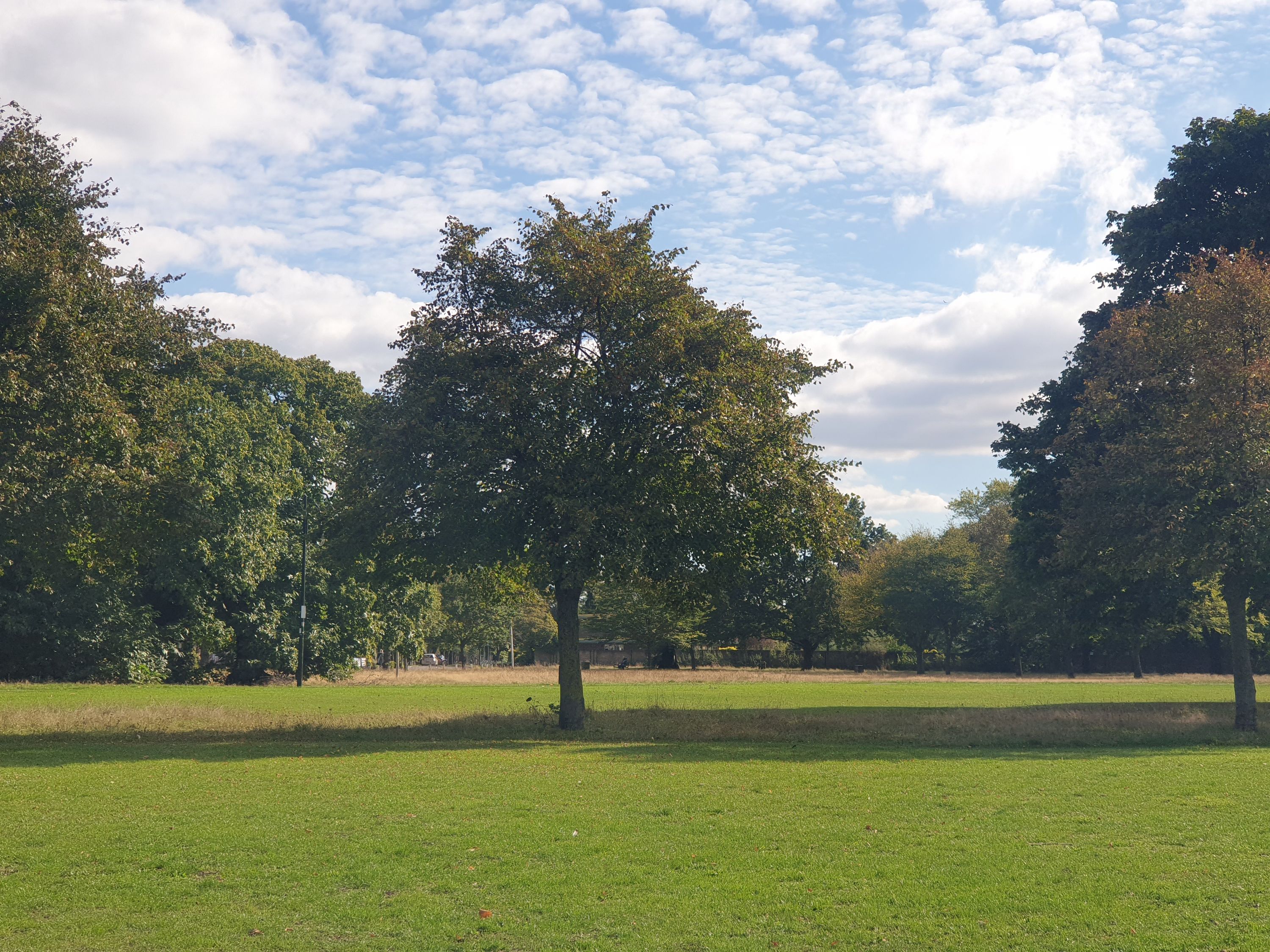 The Yellow Room, Wanstead, photo 5
