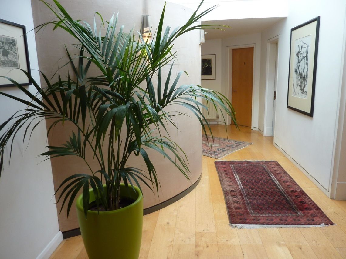 Consulting rooms at West Hill House, Swains Lane, Highgate N6, Highgate, photo 3