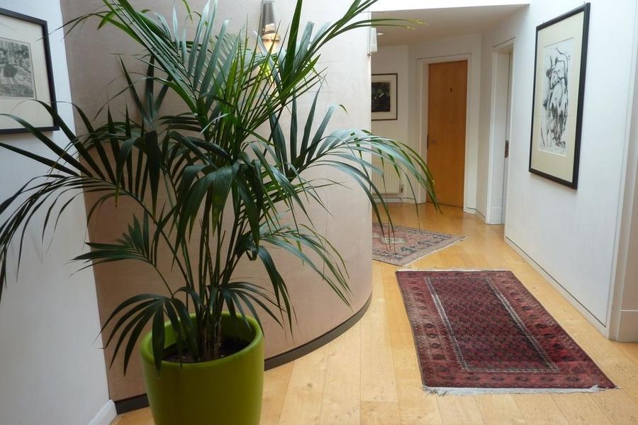 Consulting rooms at West Hill House, Swains Lane, Highgate N6, Highgate, photo 3
